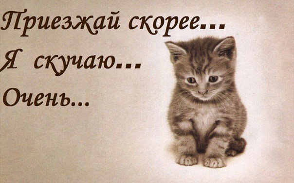 Юбилеем лет, открытка когда приедешь домой