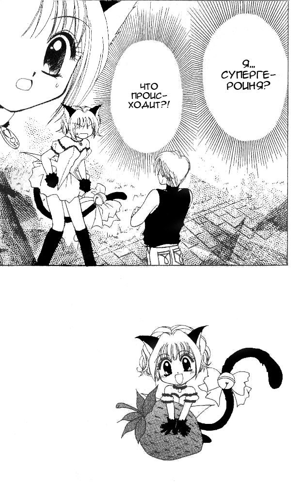 мяу 1 2. мяу мяу. токио мяу мяу пудинговая кошечка. токийские кошечки. котик мяу.