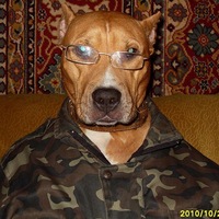Игорь Абрамов