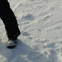 Михаил Орлов