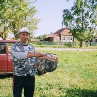 Серж Вавилов