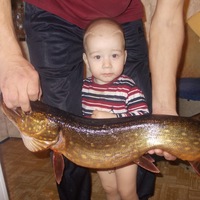 Дмитрий Парфёнов