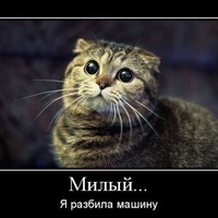 Андрей Охрименко