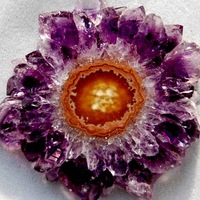 Светлана Яковлева