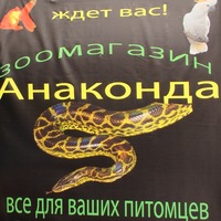 Магазин Анаконда Нижний Новгород Каталог Товаров