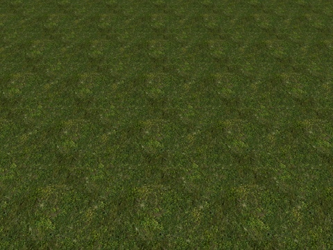 BN Grass texture #7