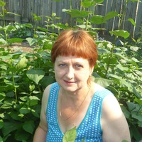 Елена Щипкова