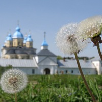 КОНЕВЕЦ сообщество