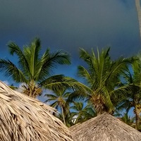 Оксана Шаклеина