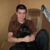 Андрей Ильин