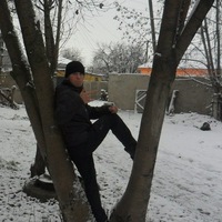 Евгений Елфимов