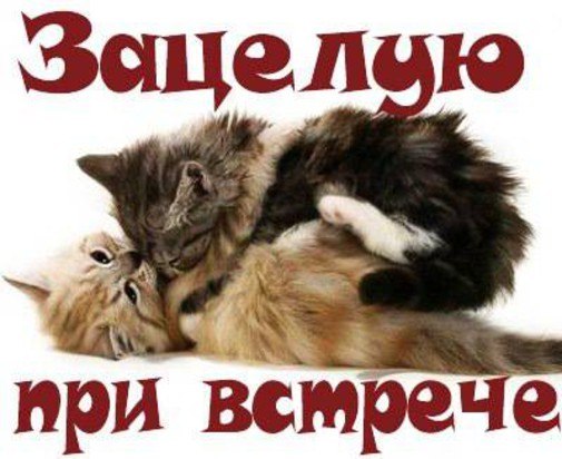 Открытки любимый я скучаю жду встречи, анимация поезд
