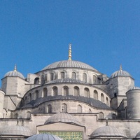 Umut Kaya