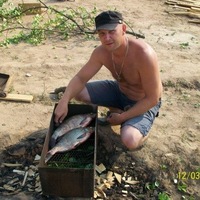 Алексей Кравцов