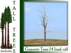 Generic Tree14 leaf-off 15m