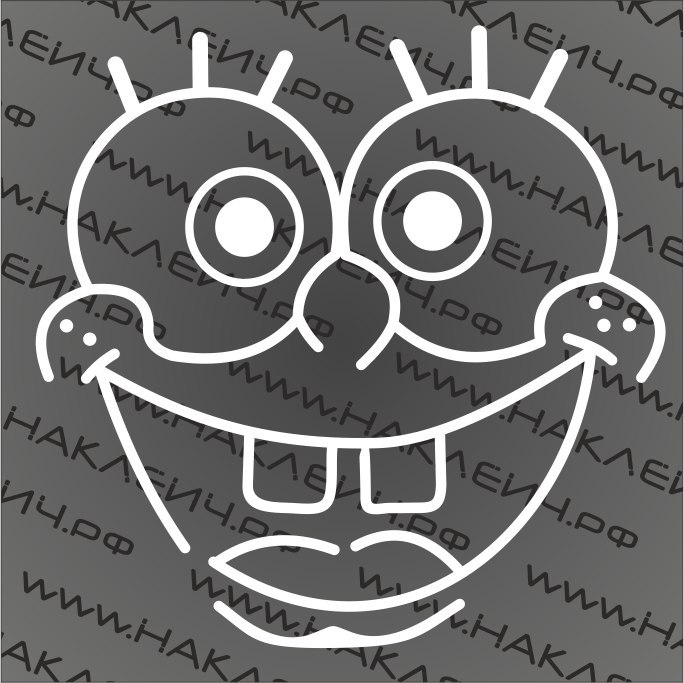 винил киров