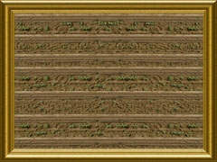 DS ploughed field 01