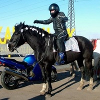 Александр Ильин