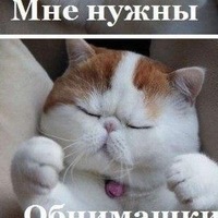 Анжелика Фатеева