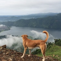 Александр Павлович