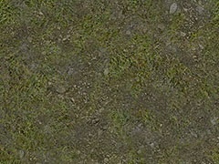 Forest - gravel with grass 2