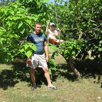 Владимир Семёнов