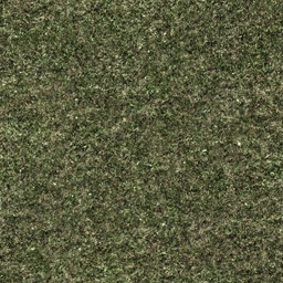 Zl PAV texture of soil 6 v1