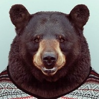 Михаил Осояну