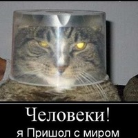 Арсен Асхабов