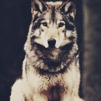 Матвей Лапотько