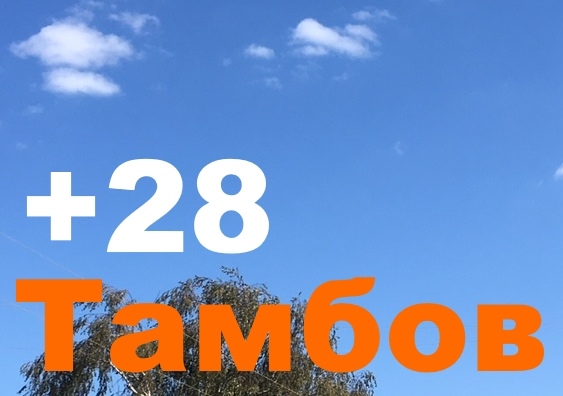 Погода в тамбове на 10 дней точный прогноз. Прогноз тамбов. Погода на август тамбовская область. Погода в начале августа. Погода в тамбове на неделю на 14.
