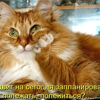 Марина Орлова