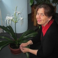 Альбира Закирова