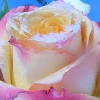 Любовь Полякова