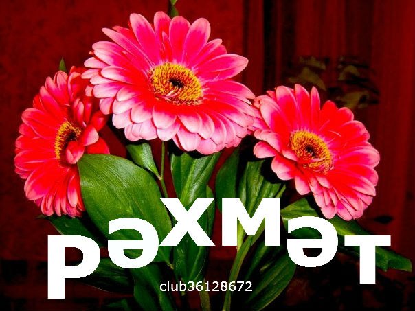 Рэхмэт бик зур открытка, картинки фото
