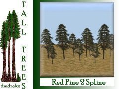 Red Pine 2 spline