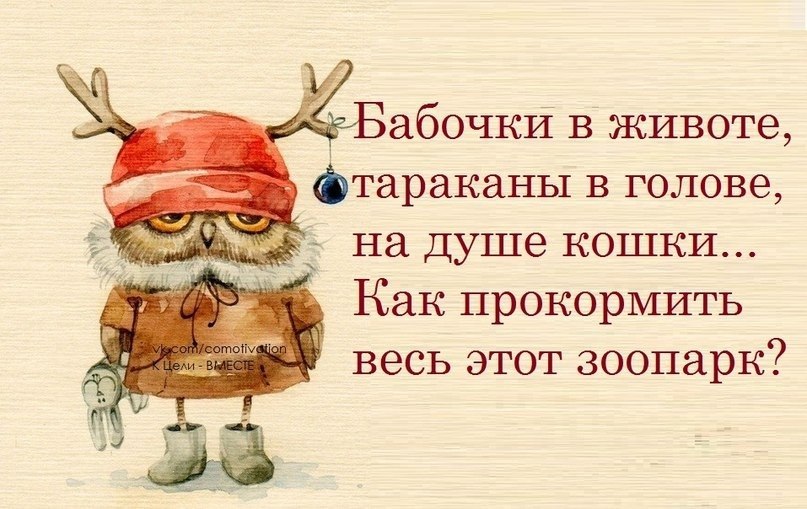 Смешная картинка нет тебе прощения