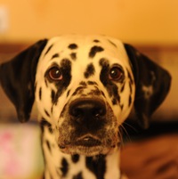 Сергей Иванович