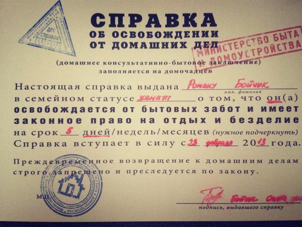 Справка прикол картинки