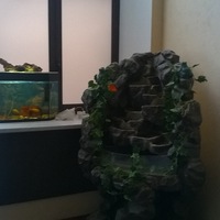 Александр Дудин