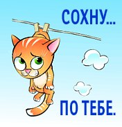 Фразы картинках, я по тебе сохну картинки