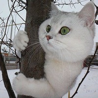 Сергей Овчинников