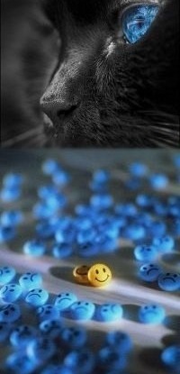 Татьяна Макаренко