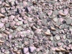 SNC River Rocks 3