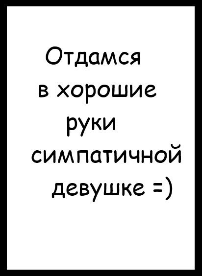 Анекдоты картинках, прикольные картинки отдамся в хорошие руки
