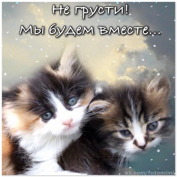 Открытка мы будем вместе, картинки