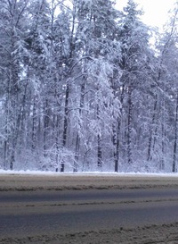 Вера Семенова