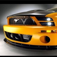 Евгений Волков