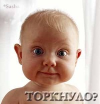 Алексей Зыков