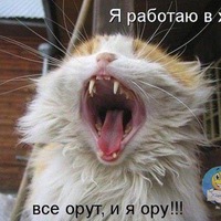 Костя Масленников